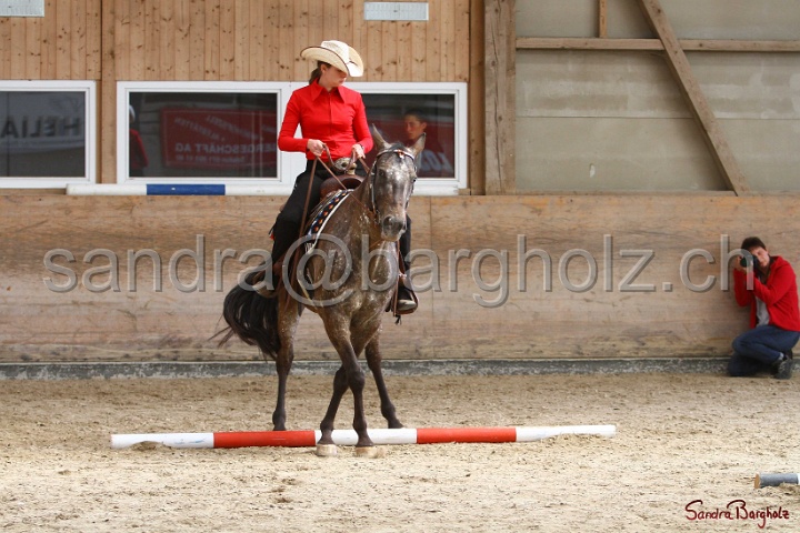 26-ApHC GT_173.jpg